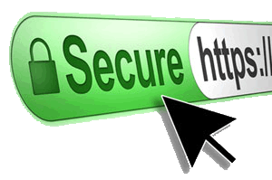 SSL сертификат GlobalSign nv-sa